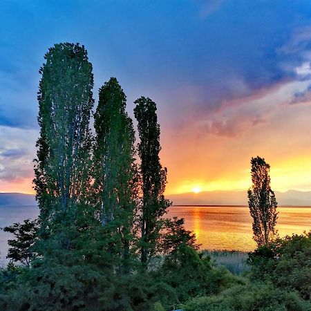 Villa Kalina Ohrid Exterior foto